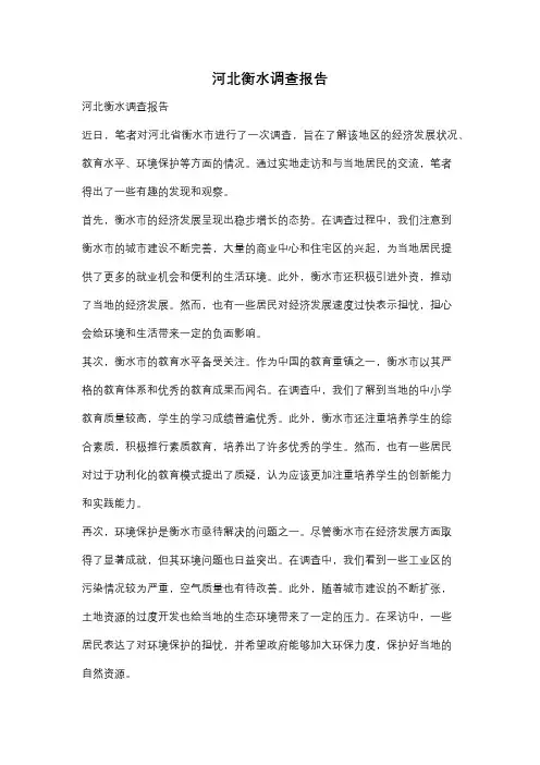 河北衡水调查报告