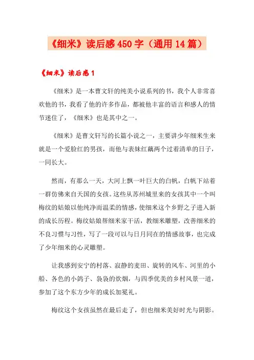 《细米》读后感450字(通用14篇)