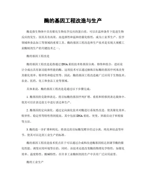 酶的基因工程改造与生产