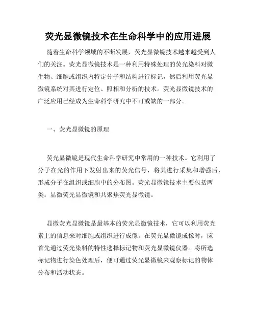 荧光显微镜技术在生命科学中的应用进展
