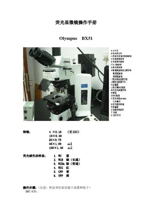 荧光显微镜操作手册
