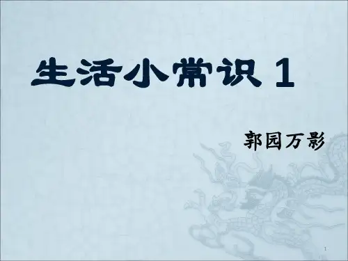 生活小常识PPT课件