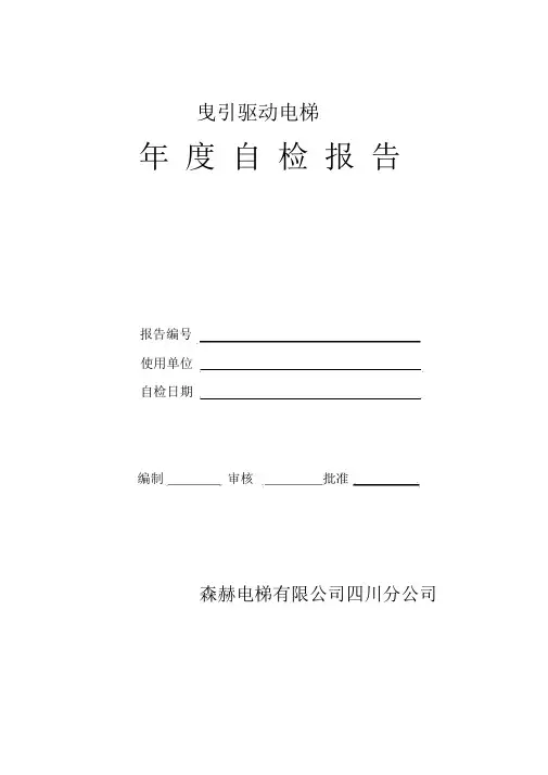 电梯年检自检报告总结模板总结模板.doc