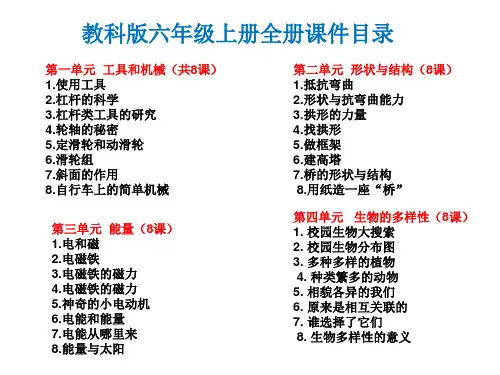 教科版六年级科学上册全册课件