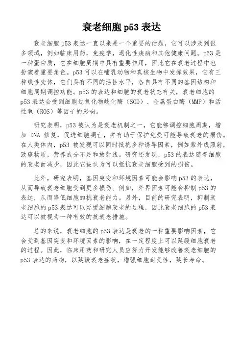 衰老细胞p53表达