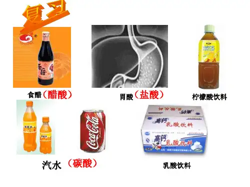 常见的酸