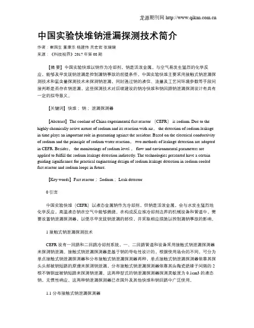 中国实验快堆钠泄漏探测技术简介