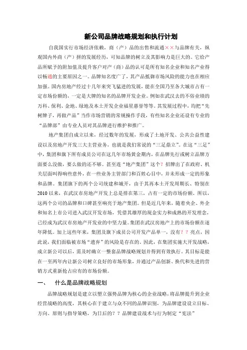 新公司品牌战略规划和执行计划