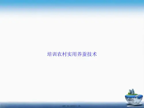 培训农村实用养蚕技术讲课文档