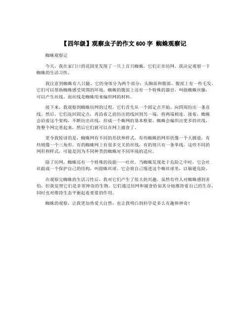 【四年级】观察虫子的作文600字 蜘蛛观察记