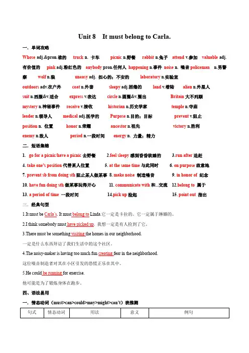 九年级英语单词短语句型语法荟萃(人教版)Unit 8 It must belong to Carla(解析版)