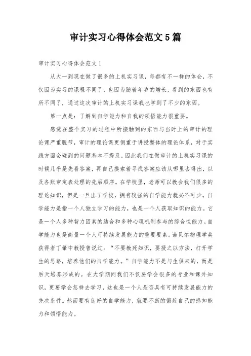 审计实习心得体会范文5篇