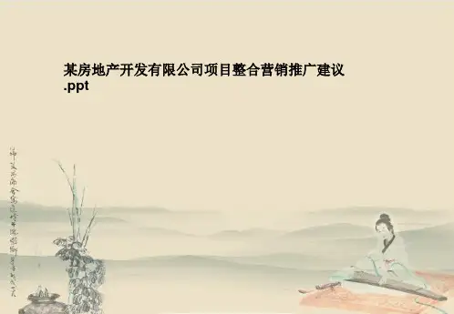 某房地产开发有限公司项目整合营销推广建议