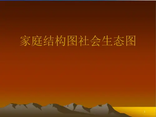 家庭结构图社会生态图.完整版ppt资料课件