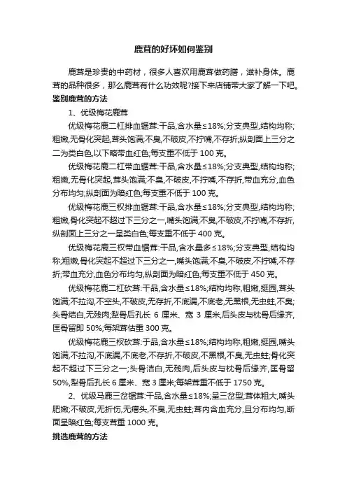 鹿茸的好坏如何鉴别