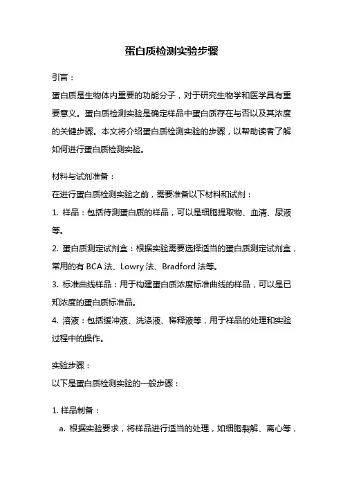 蛋白质检测实验步骤