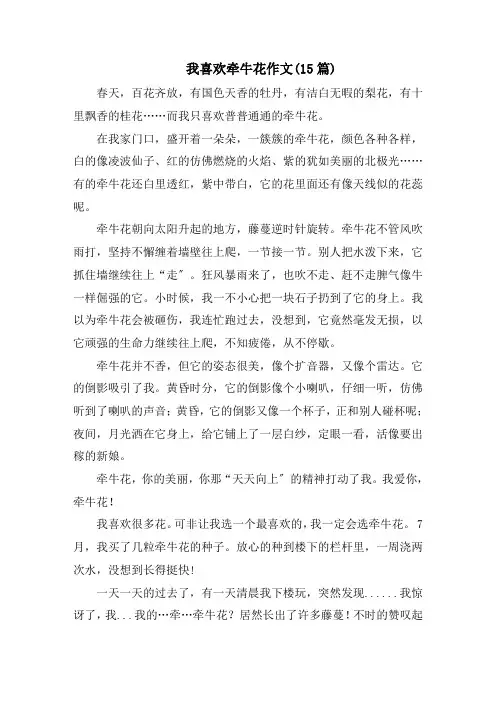 我喜欢牵牛花作文(15篇)精编