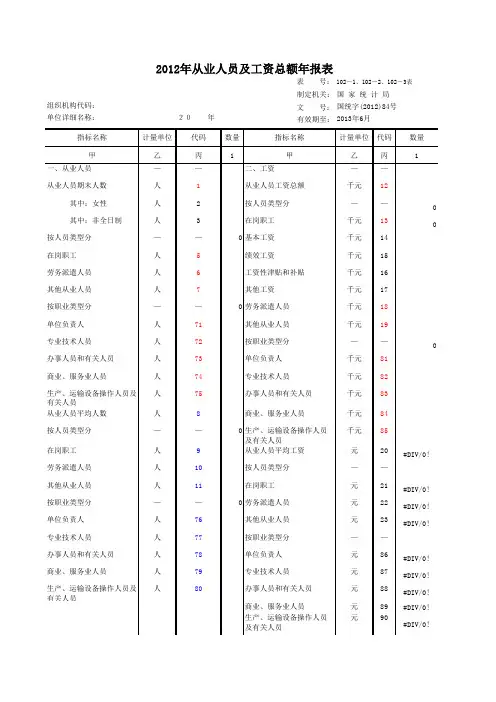 2012年从业人员及工资总额年报表102-1
