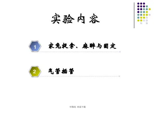 机能学实验家兔的捉拿麻醉气管插管精品课件