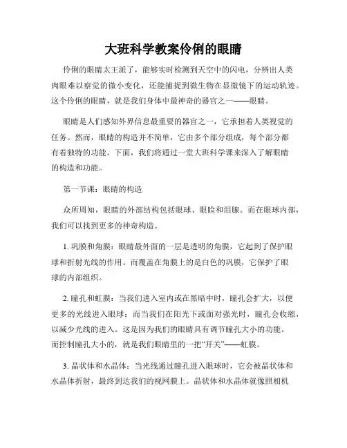 大班科学教案伶俐的眼睛