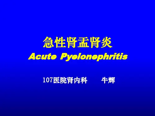 急性肾盂肾炎ppt课件