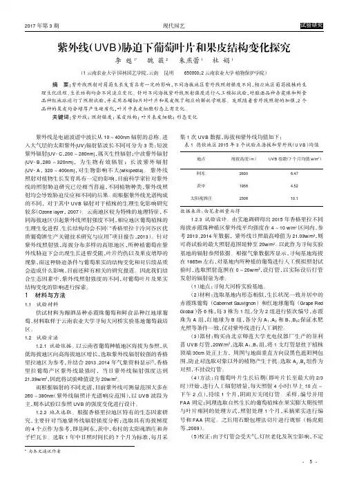 紫外线(UVB)胁迫下葡萄叶片和果皮结构变化探究
