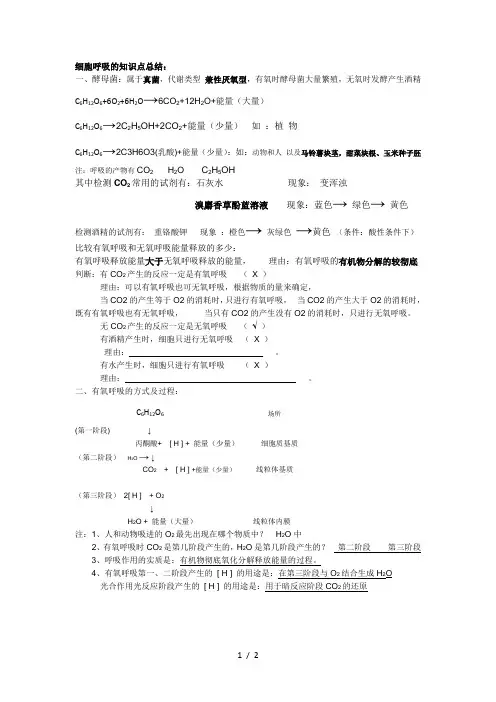细胞呼吸的知识点总结