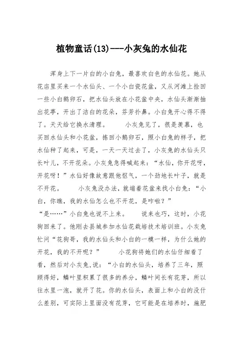 小学议论文作文：植物童话小灰兔的水仙花5