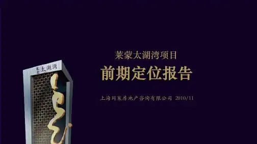 常州莱蒙太湖湾项目定位报告12.12