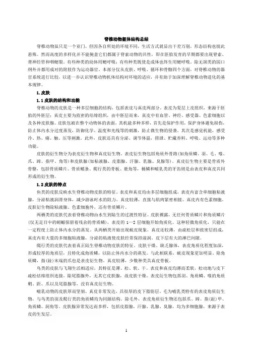 脊椎动物总结