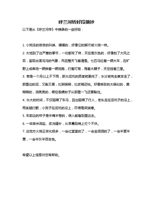 呼兰河转好段摘抄