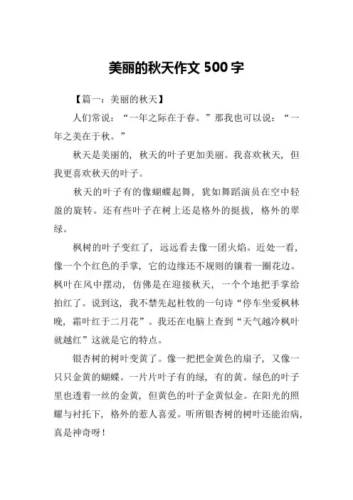美丽的秋天作文500字
