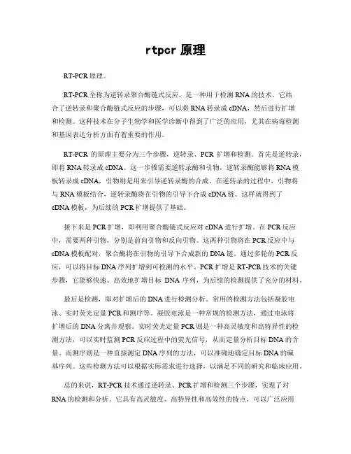 rtpcr原理