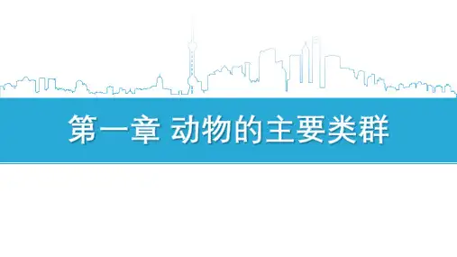 人教版八年级上册第一章第一节  腔肠动物和扁形动物课件(26张ppt)