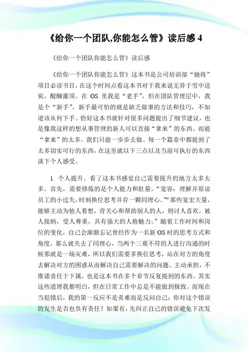 给你一个团队,你能怎么管读后感4.doc