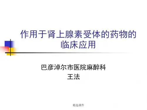 作用于肾上腺素受体的药物的临床应用-医学精品课件