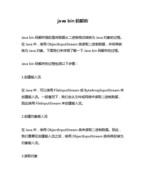 java bin码解析