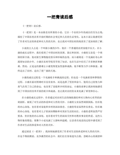 一把青读后感