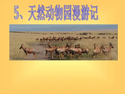 《天然动物园漫游记》ppt课件