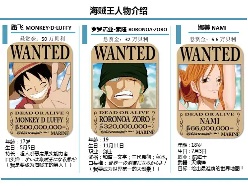 海贼王人物介绍
