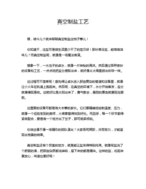 真空制盐工艺