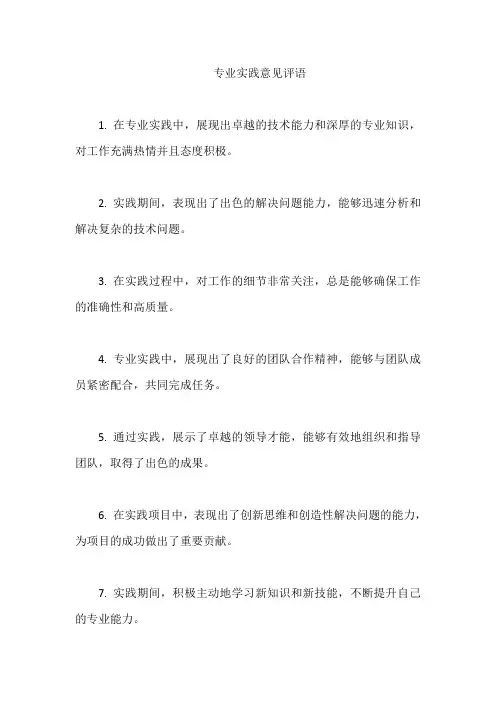 专业实践意见评语