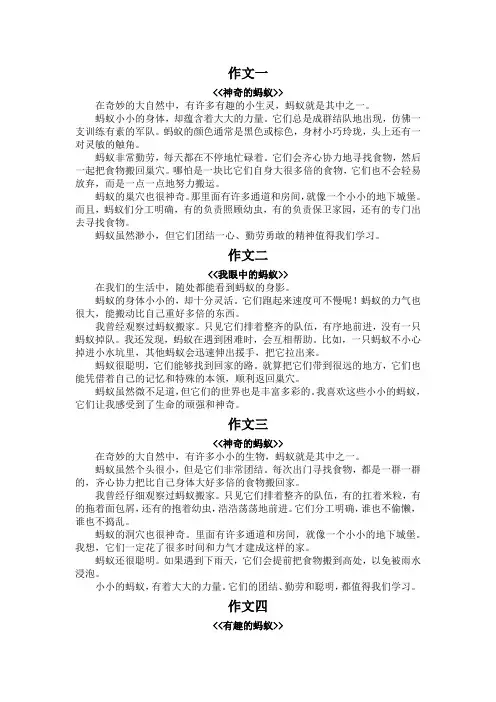 蚂蚁作文400字优秀作文四年级
