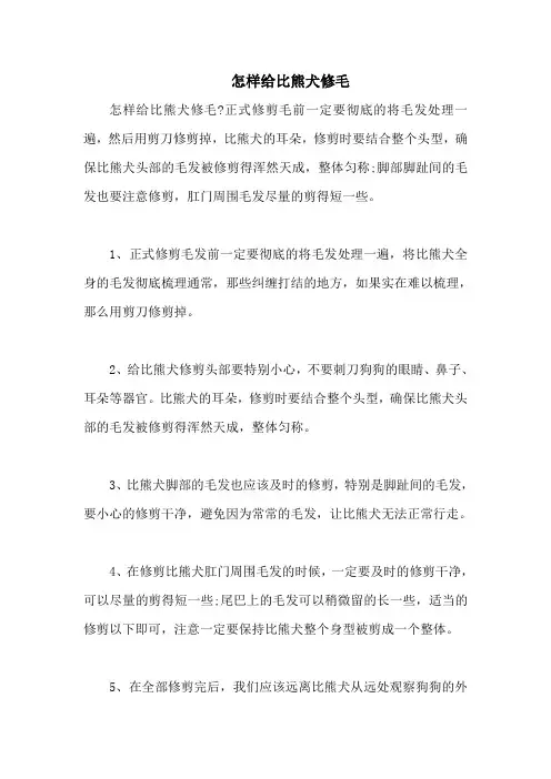 怎样给比熊犬修毛