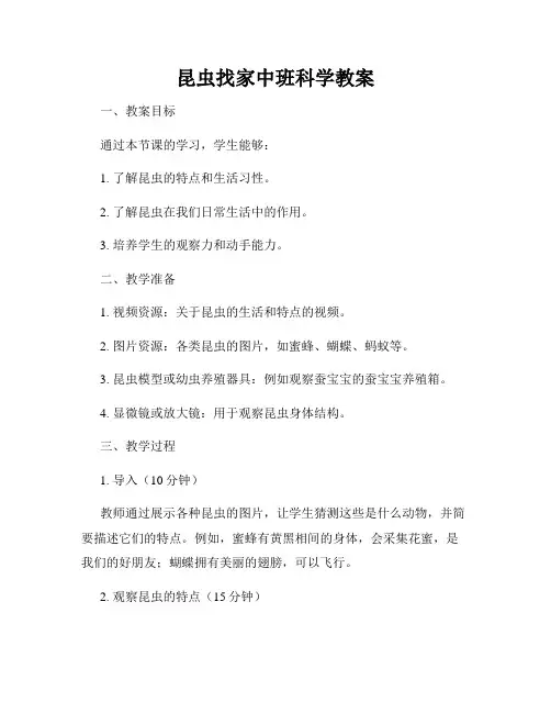 昆虫找家中班科学教案