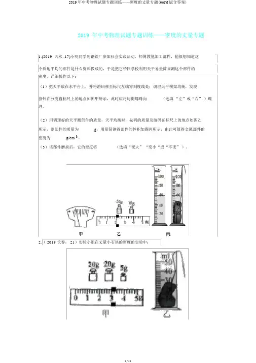 2019年中考物理试题专题训练——密度的测量专题(word版含答案)