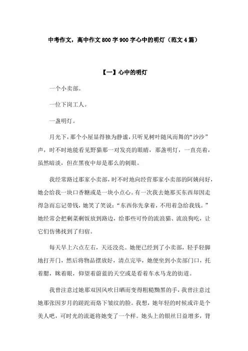 心中的明灯900字作文