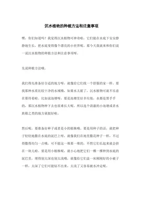 沉水植物的种植方法和注意事项