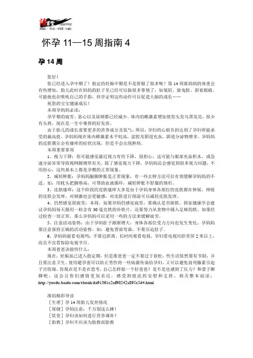 【怀孕40周指南(一)】怀孕11—15周指南4