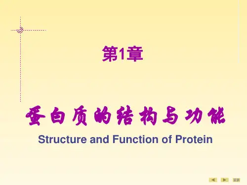 第1章蛋白质的结构和功能